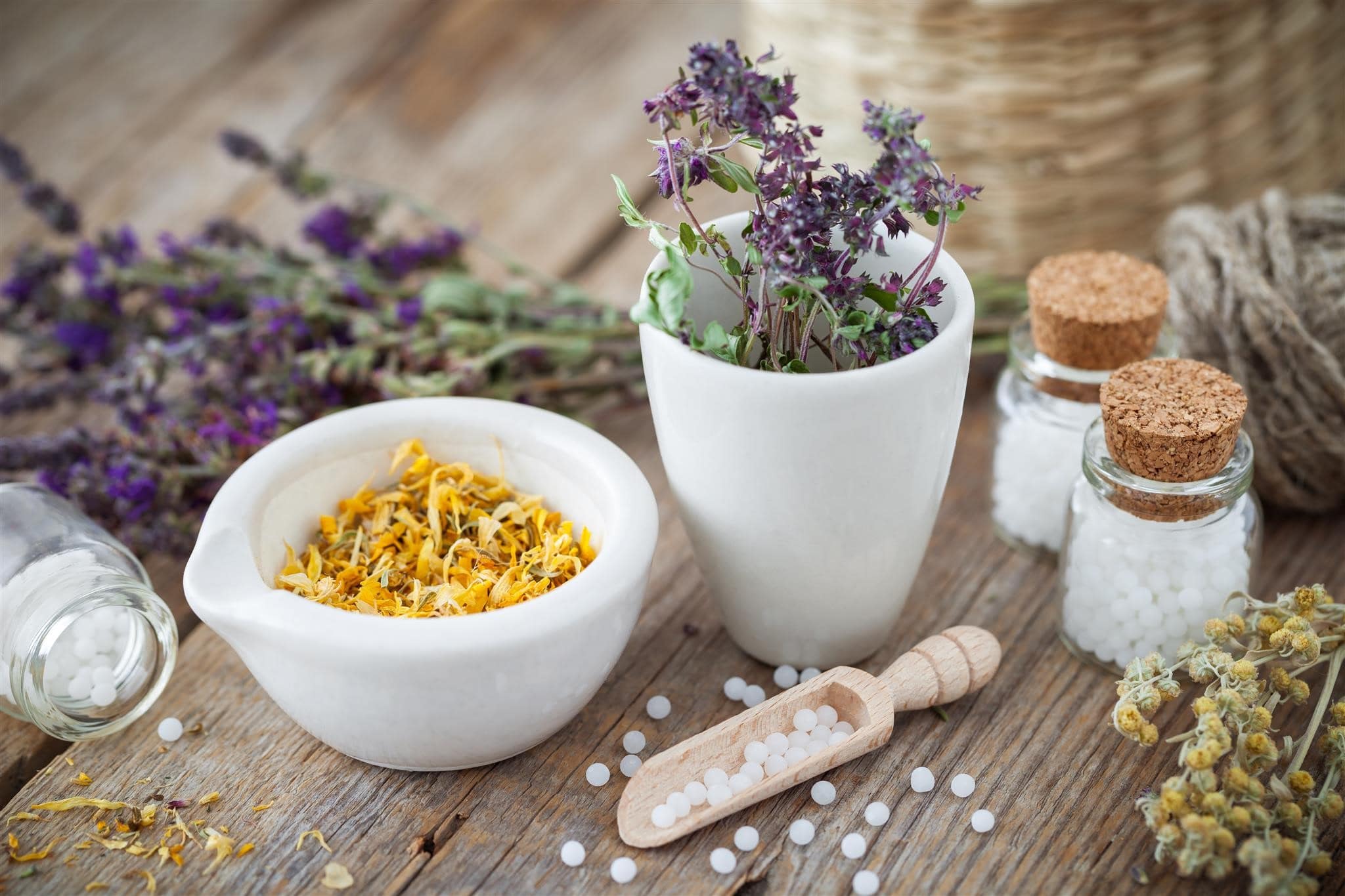 The Nutraceutical Potential